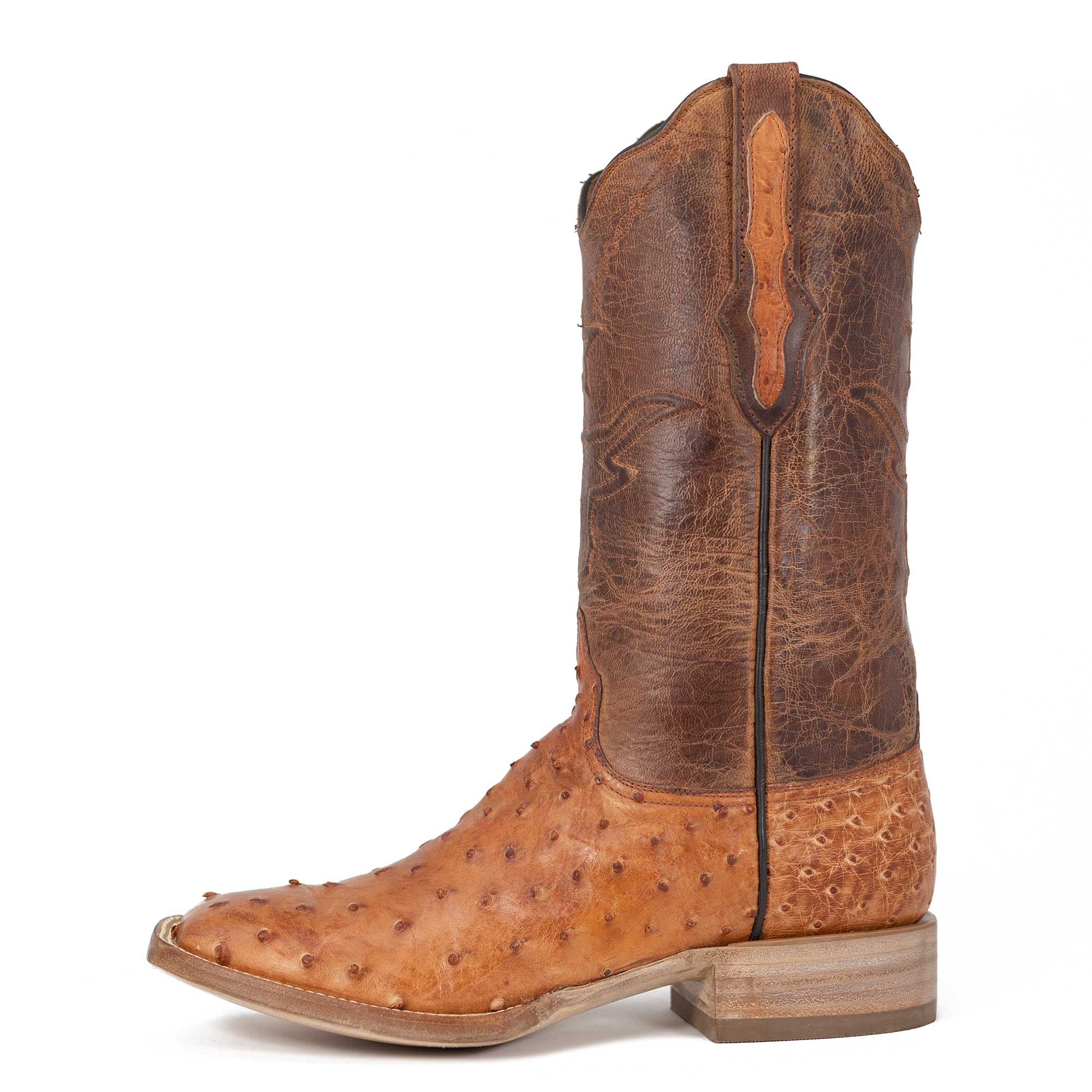 BLACK JACK FULL QUILL OSTRICH BURNISHED COGNAC BOOTS (BCGN993-96)