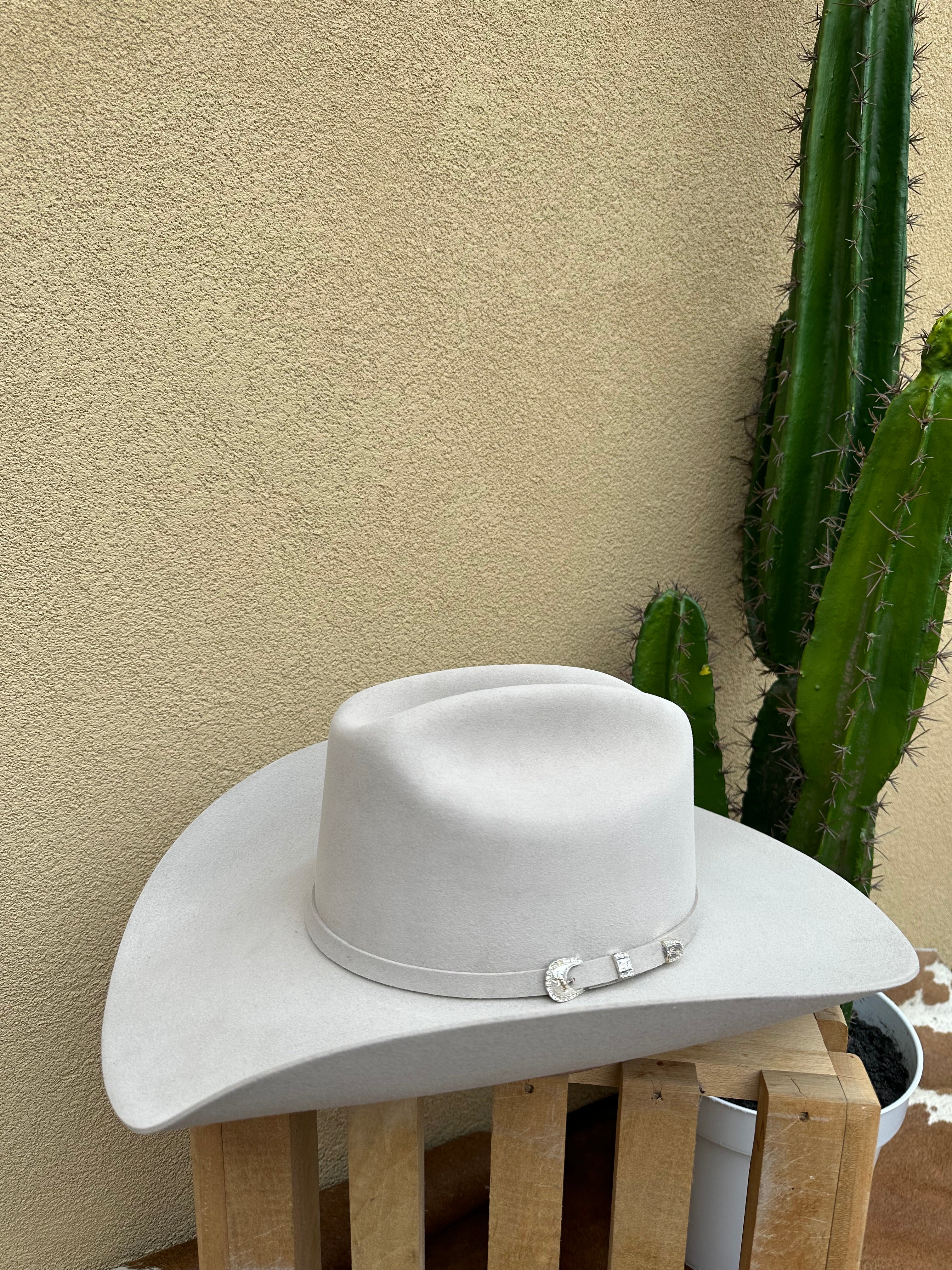 STETSON 10X - SHASTA - SILVERBELLY FUR FELT HAT