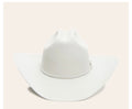 STETSON 6X - SKYLINE - SILVER GREY FUR FELT HAT