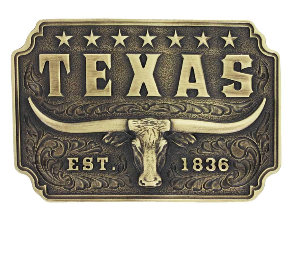 Montana Silversmiths Classic TEXAS Longhorn Buckle A843
