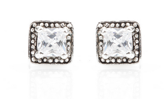 Montana Silversmiths Women's Studded Square Earrings ER2554